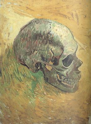 Vincent Van Gogh Skull (nn04) France oil painting art